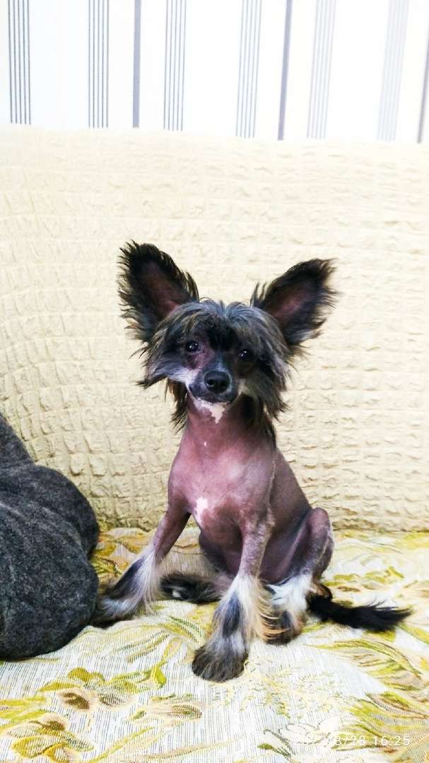 Endless Kiss Michelle