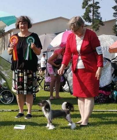 Lilla Wanillas Be Cheeky