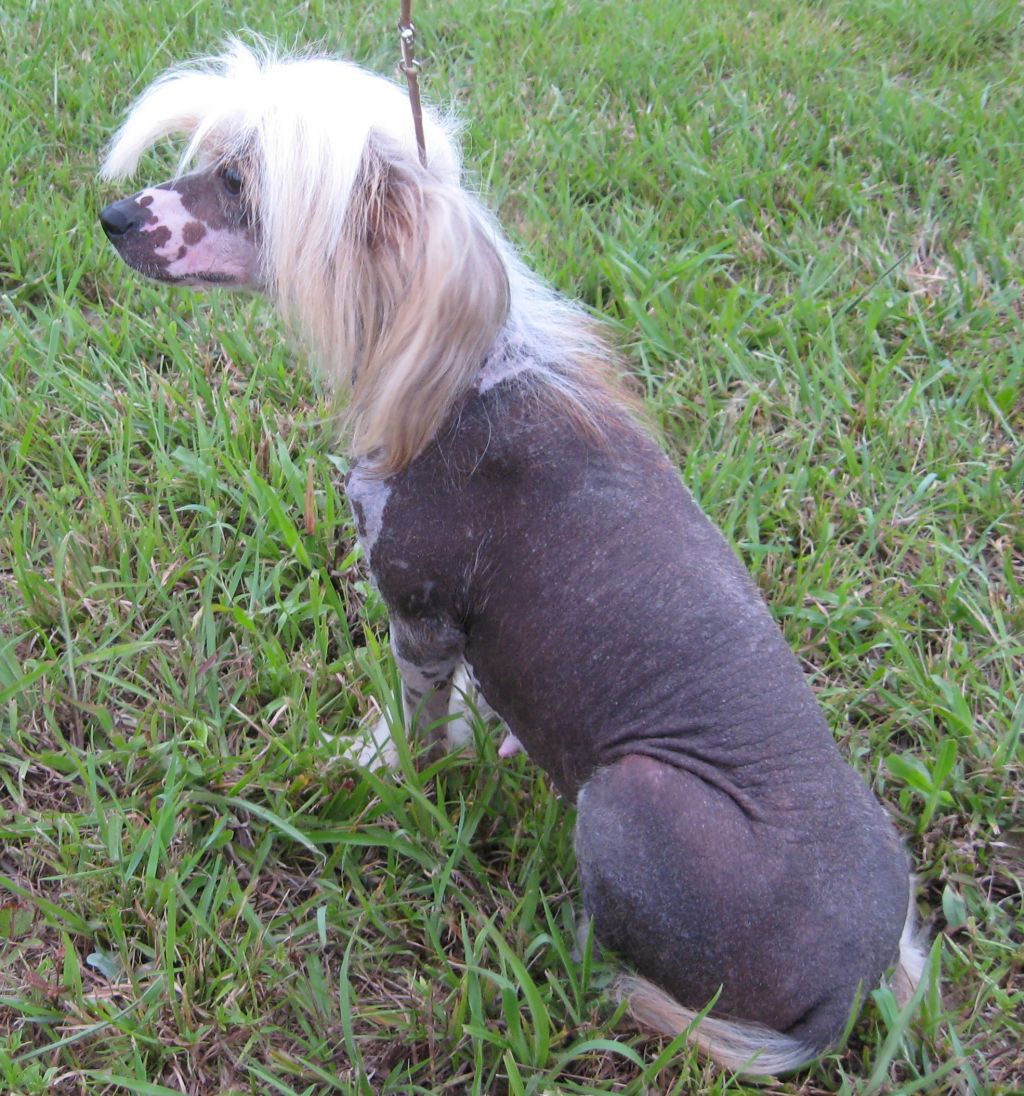 Ozark Cavern's Memoies Of Amore