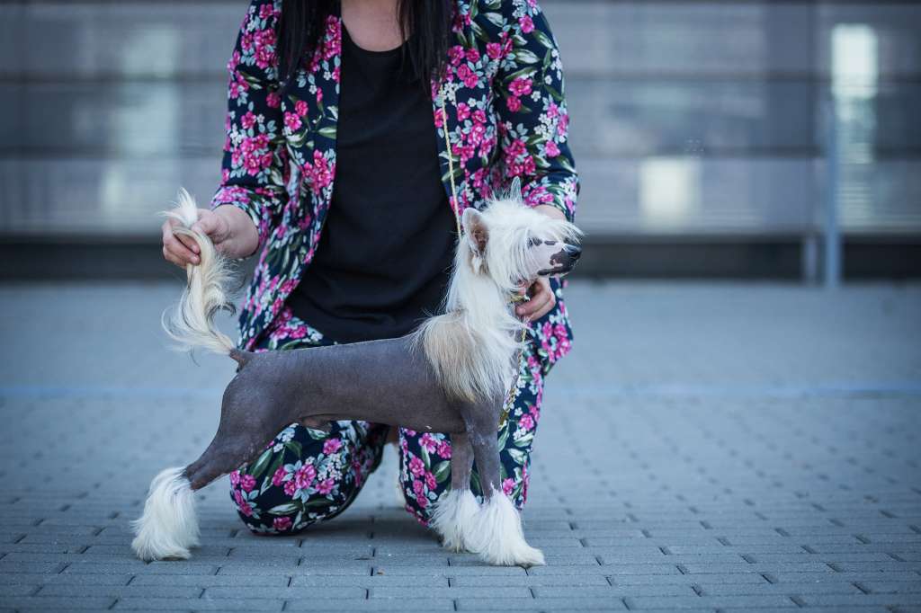 Sunset Lover Heybett