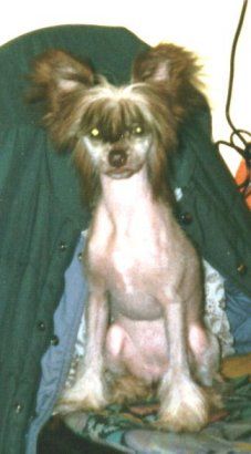 Jumelhei Stage Struck