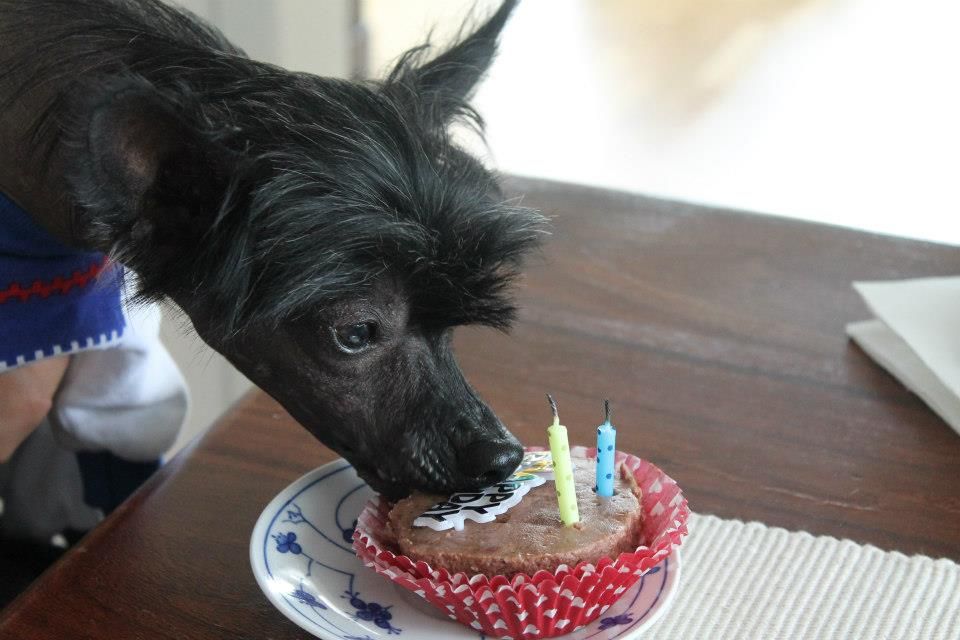 Absolute Souls Poker Face