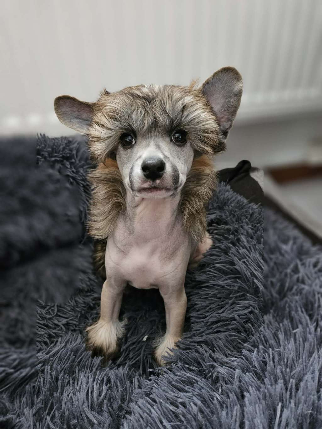 Fejmants The Past In The Present