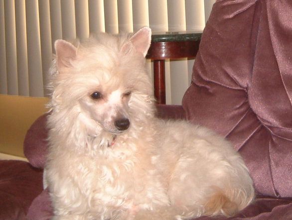 Sunberry's Mistress Of The Sea