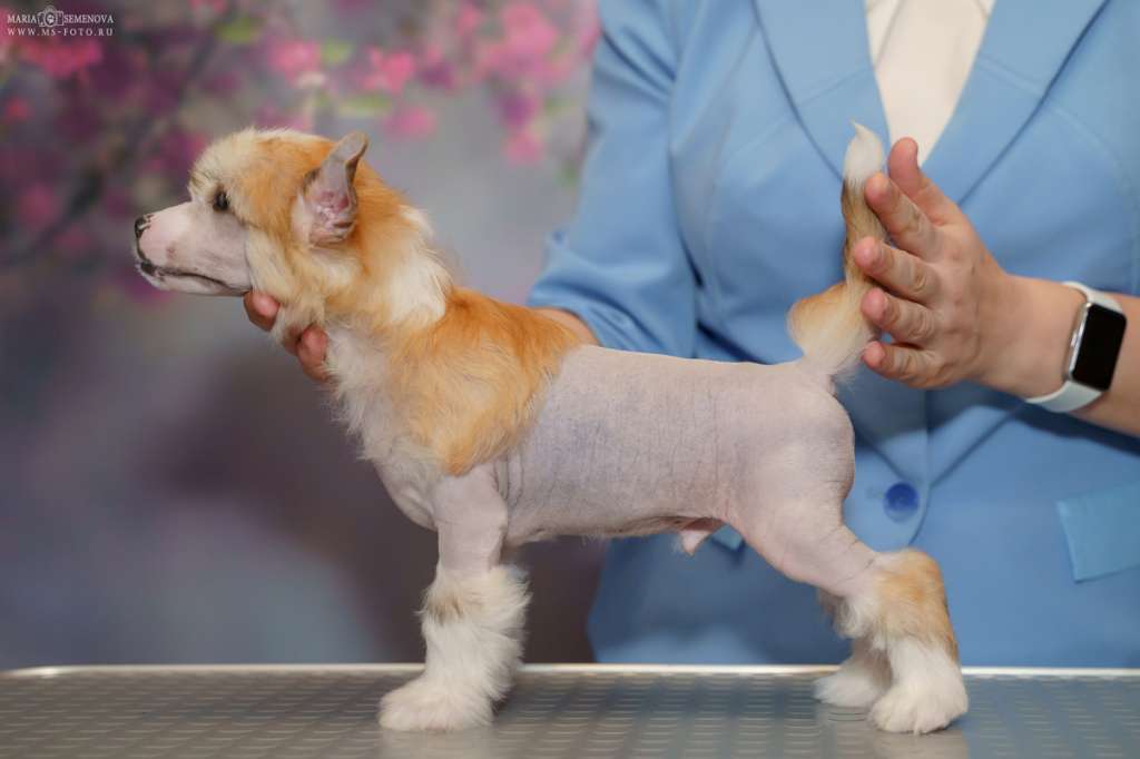 Grand Passage Illuso