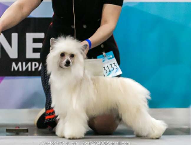 Apriori Vip In Vino Veritas