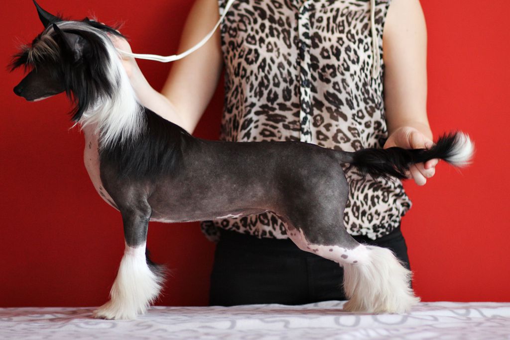 Genialna Uroda Innowacja