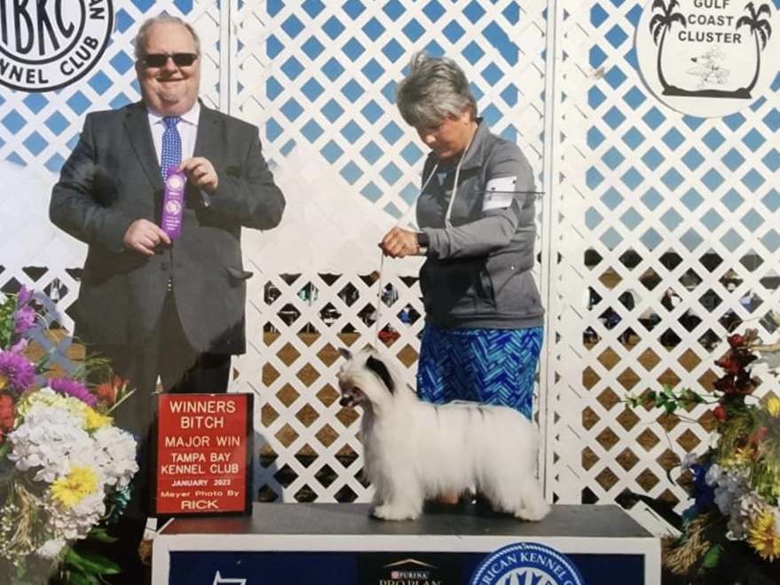 Cristall MyAngel Kaylen Kiss Me Late At The Fireho