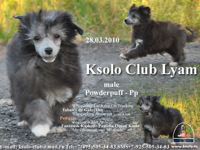 Ksolo Club Lyam