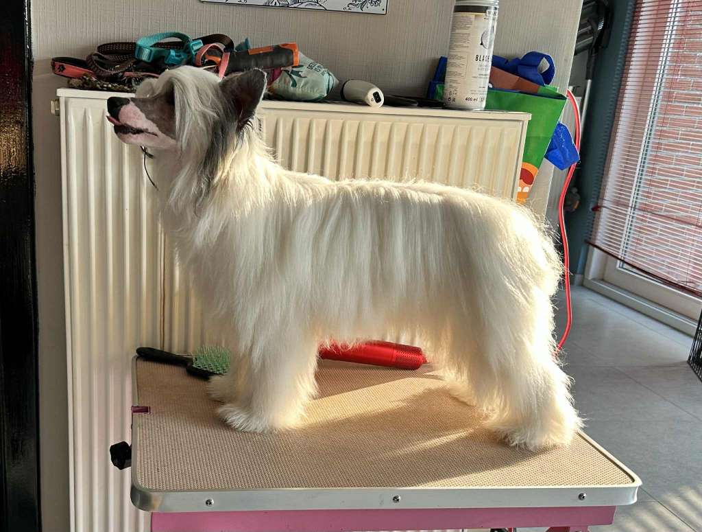 Zero Tolerance Xplore The Unknown