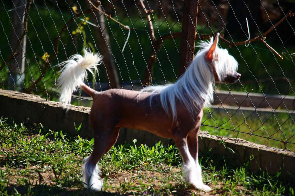 Licky Lips Emily Ellie