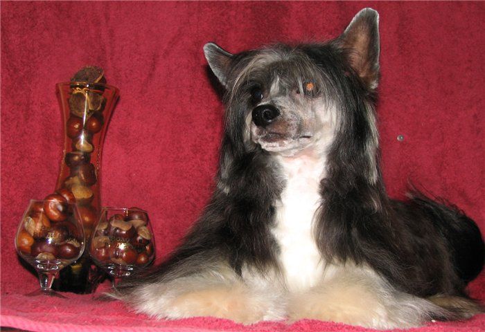 Eroshka Marfin Syn Minodora