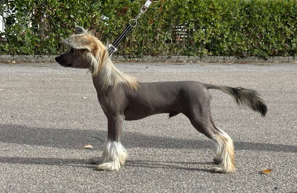 Prefix The Full Monty