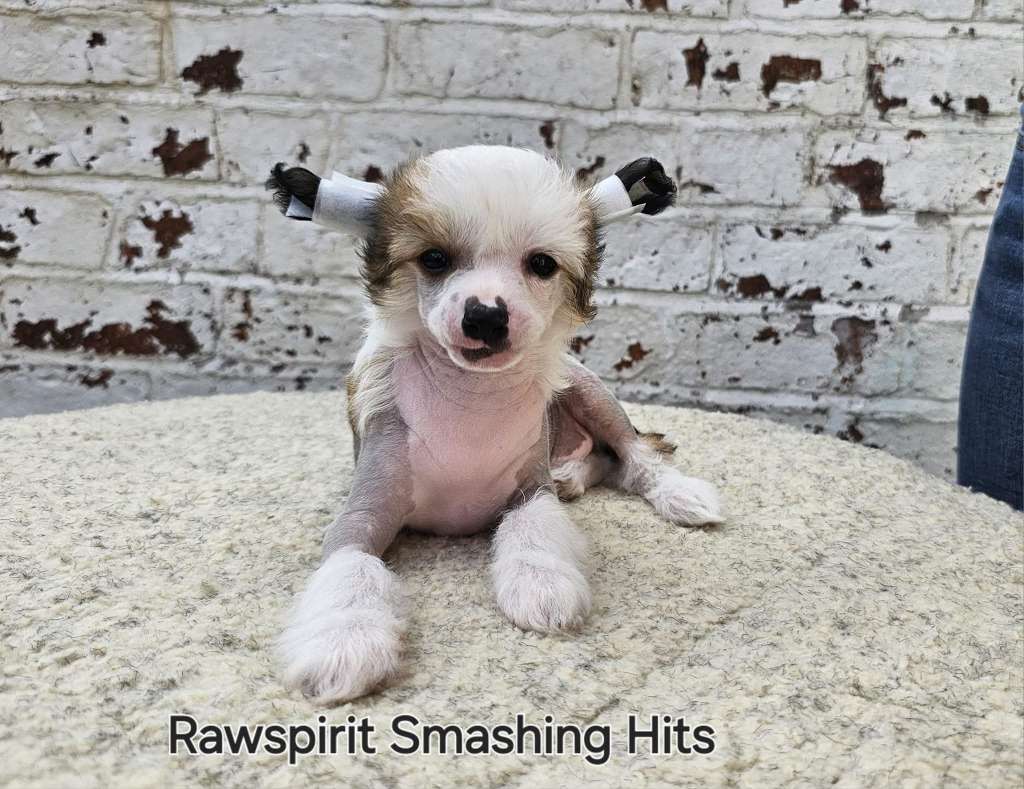 Rawspirit Smashing Hits