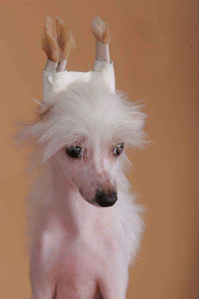 Famrus Poetry in Motion