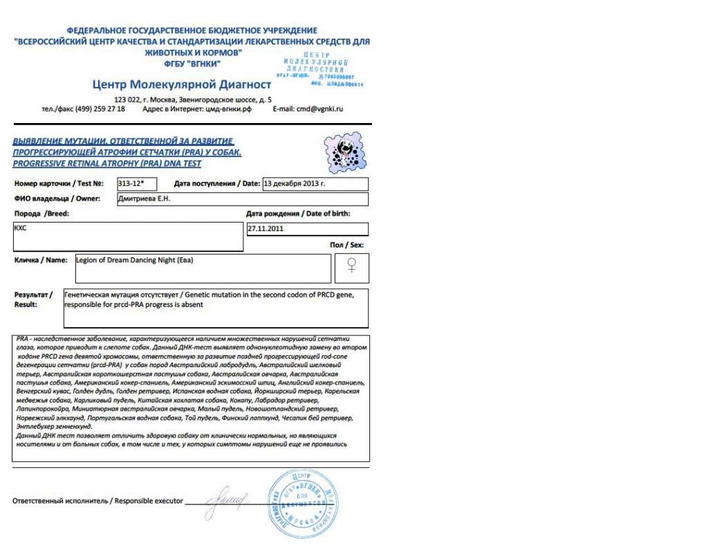 Legion of Dream Dancing Night