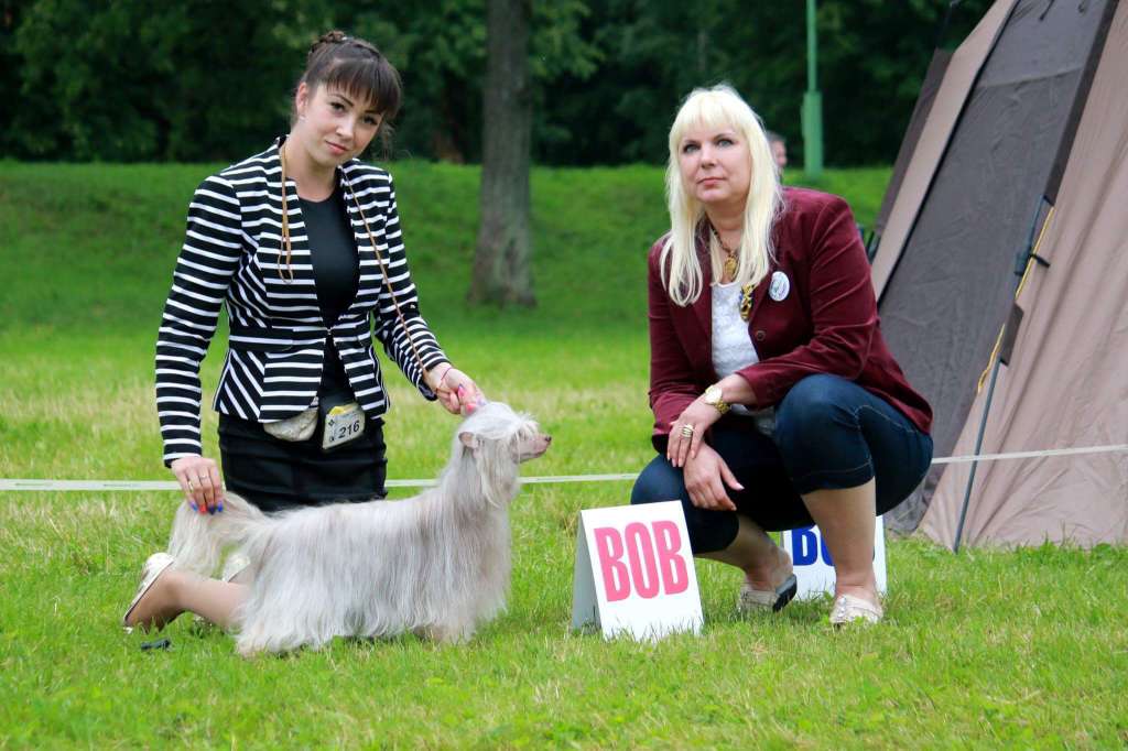 Stars at Sea Trigger