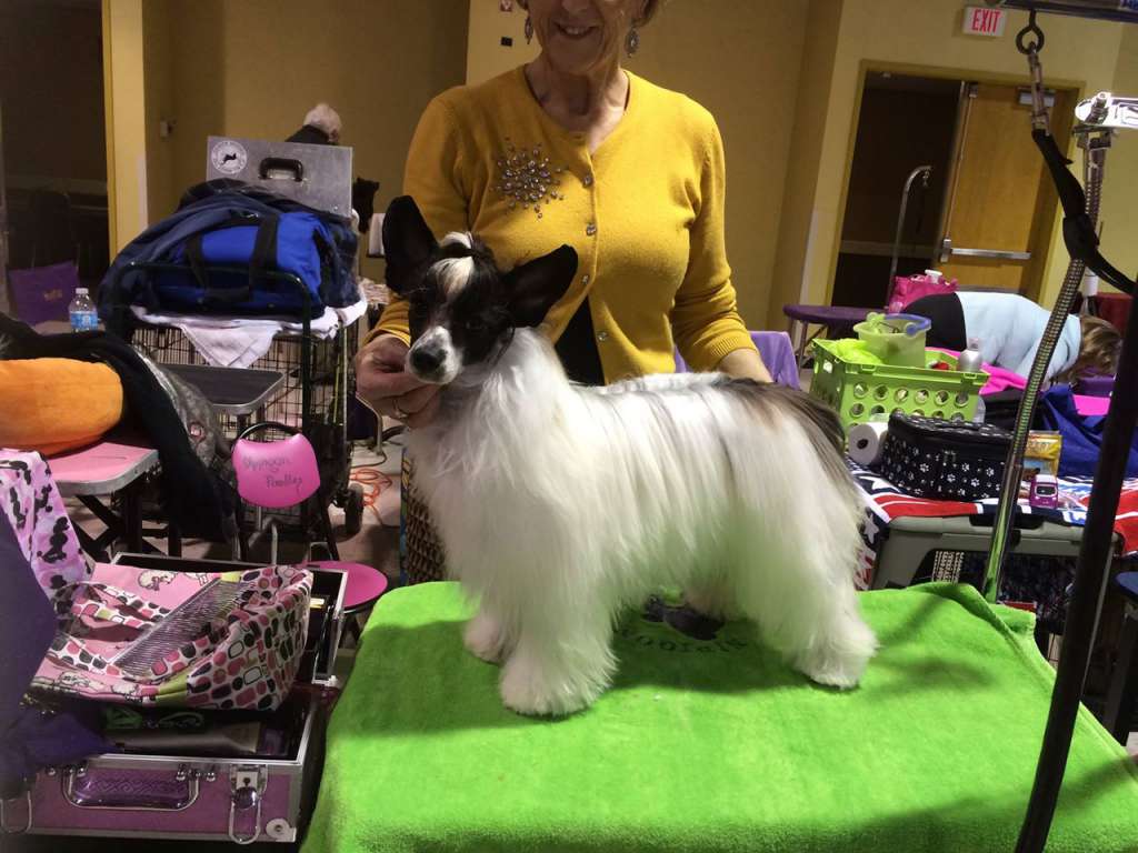 Its All About the Details at Nipigon N'Co