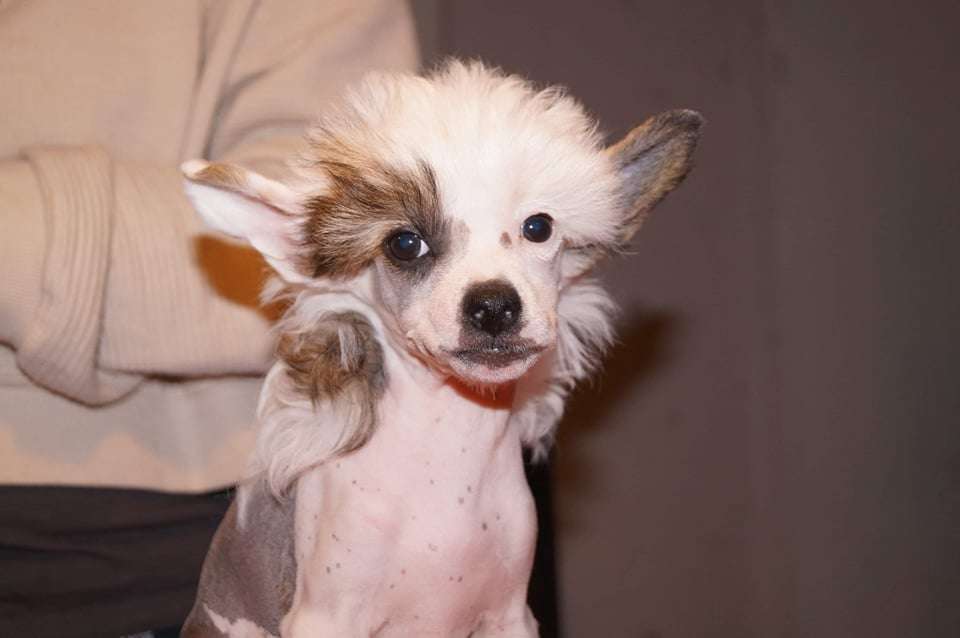 Miakoda's Outta This World