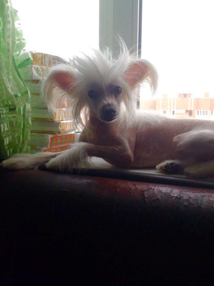 Naimuluna Line Inga Ilm