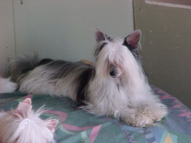 Koreke Litha Isis With Xioma