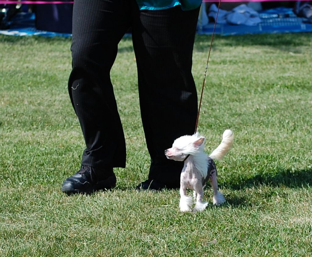 Rockin M n Nonies Chika Aiko