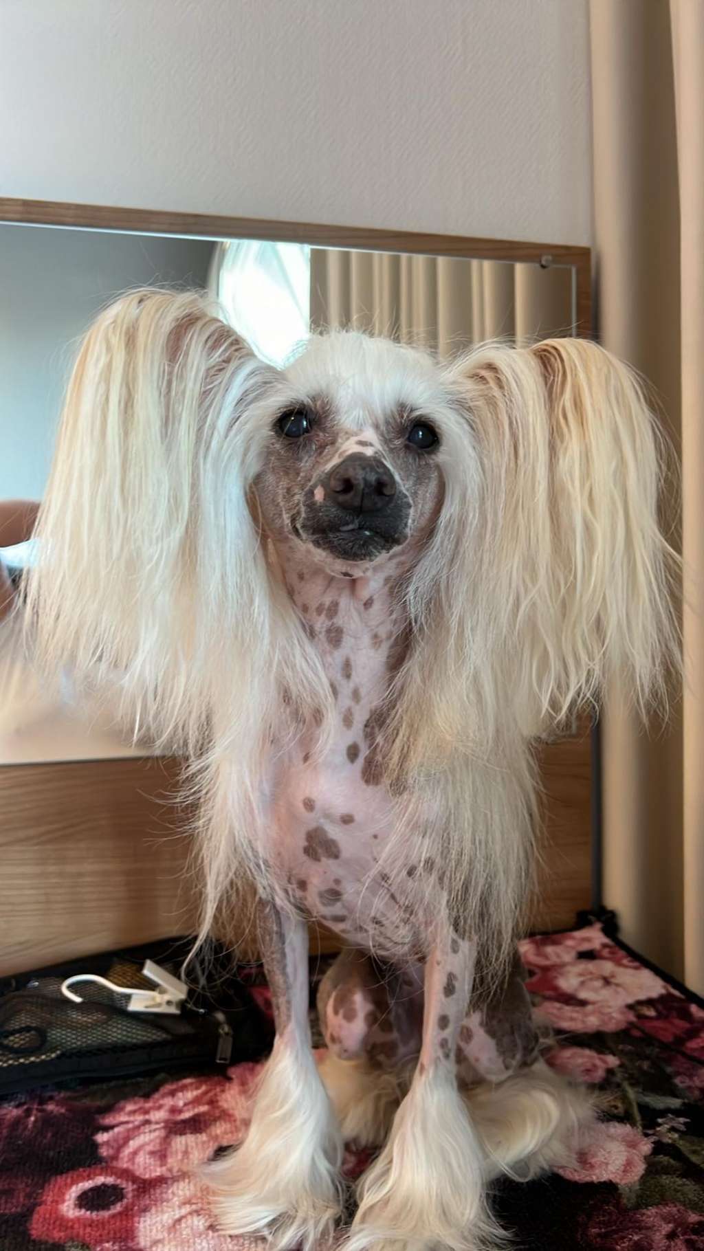 Sun-Hee's White Trash Beautiful