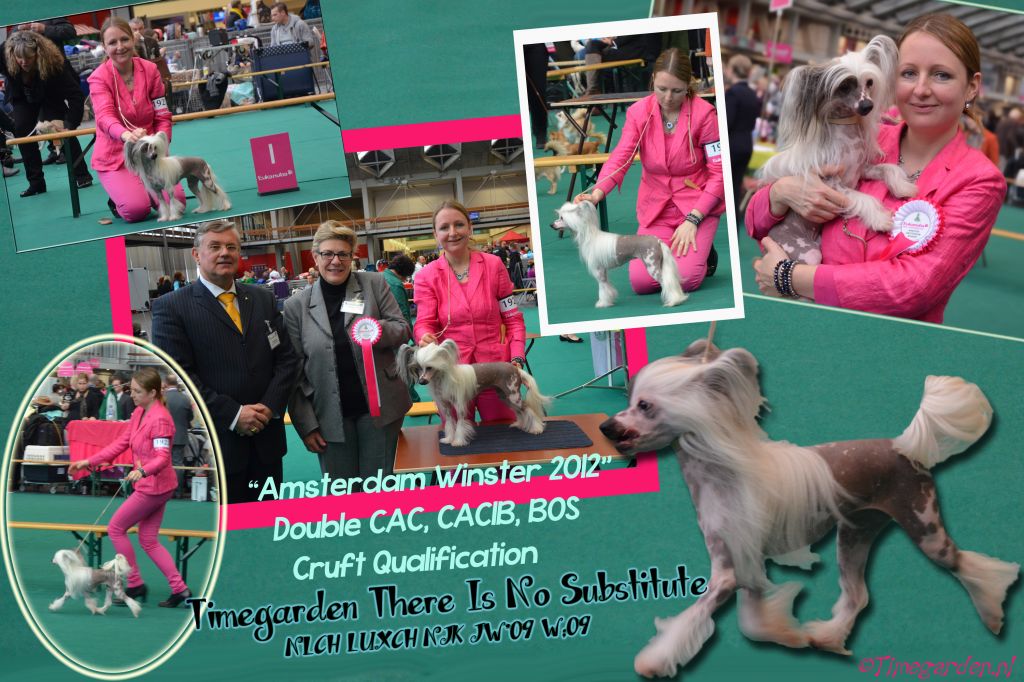 Timegarden There is No Substitute