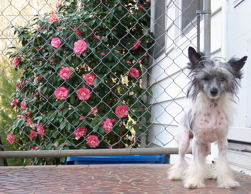 Epic's This Girl is On Fire