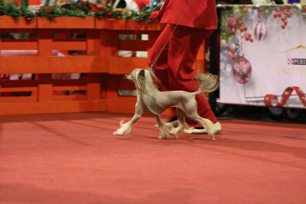 Umayma Sweet Love of Mine