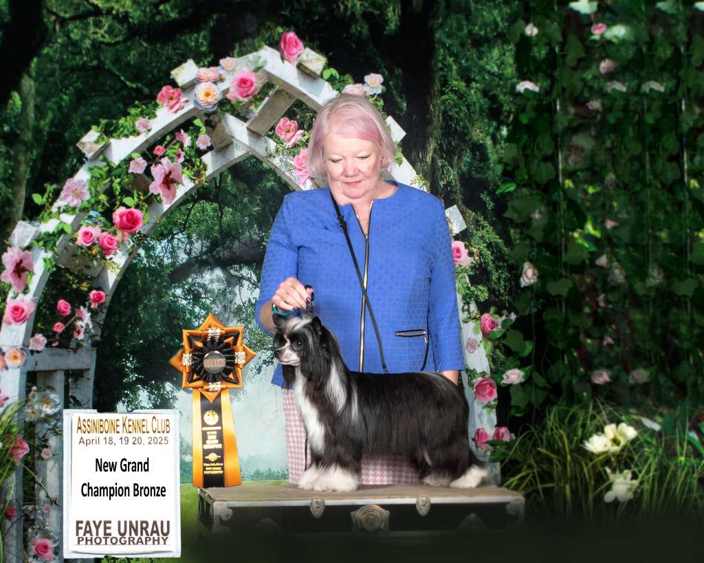 Hexs Just a Little Black Magic