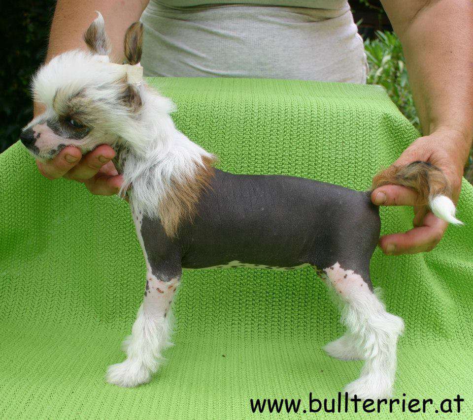 Laureola's Xtremly Cute