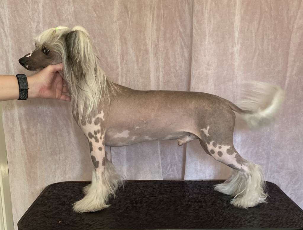 Nomilas No More Rain