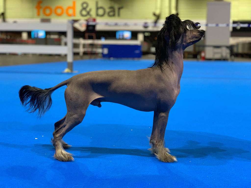 Ensidias Serving Realness