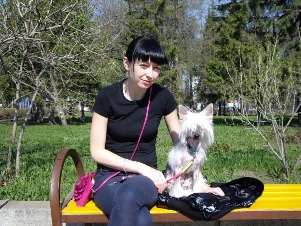 Vikiri Bells Shevalier Saint Maurice