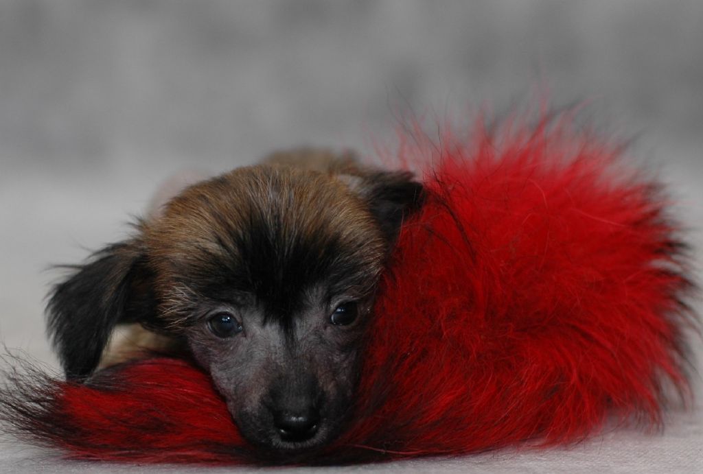 Ksolo Club Soul And Love 