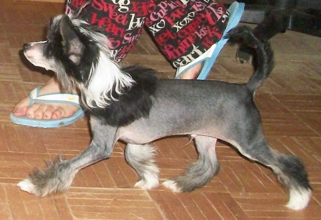 Mosaic-Spiritual Perfectly Designed