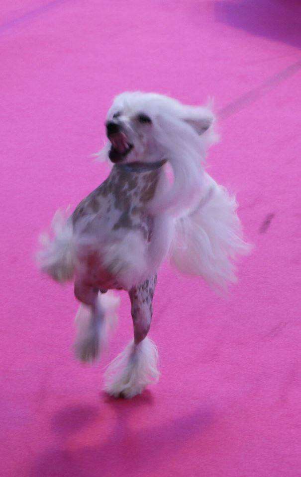 Ich Liebe Dich Du Coeur Des Tenebres