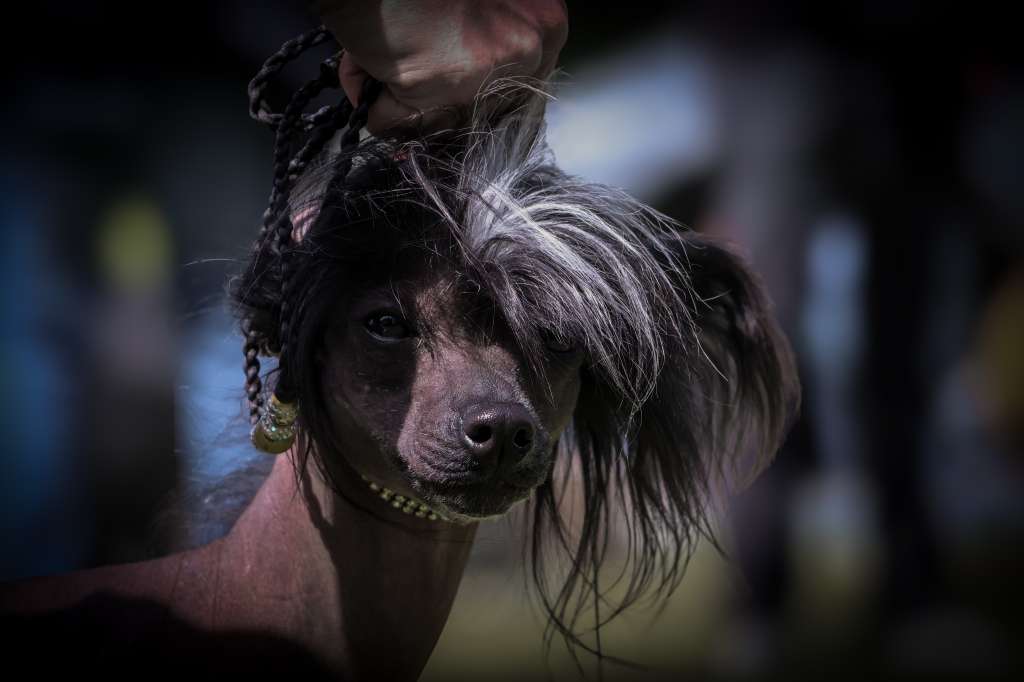 Zero Tolerance Welcome To The Black Parade