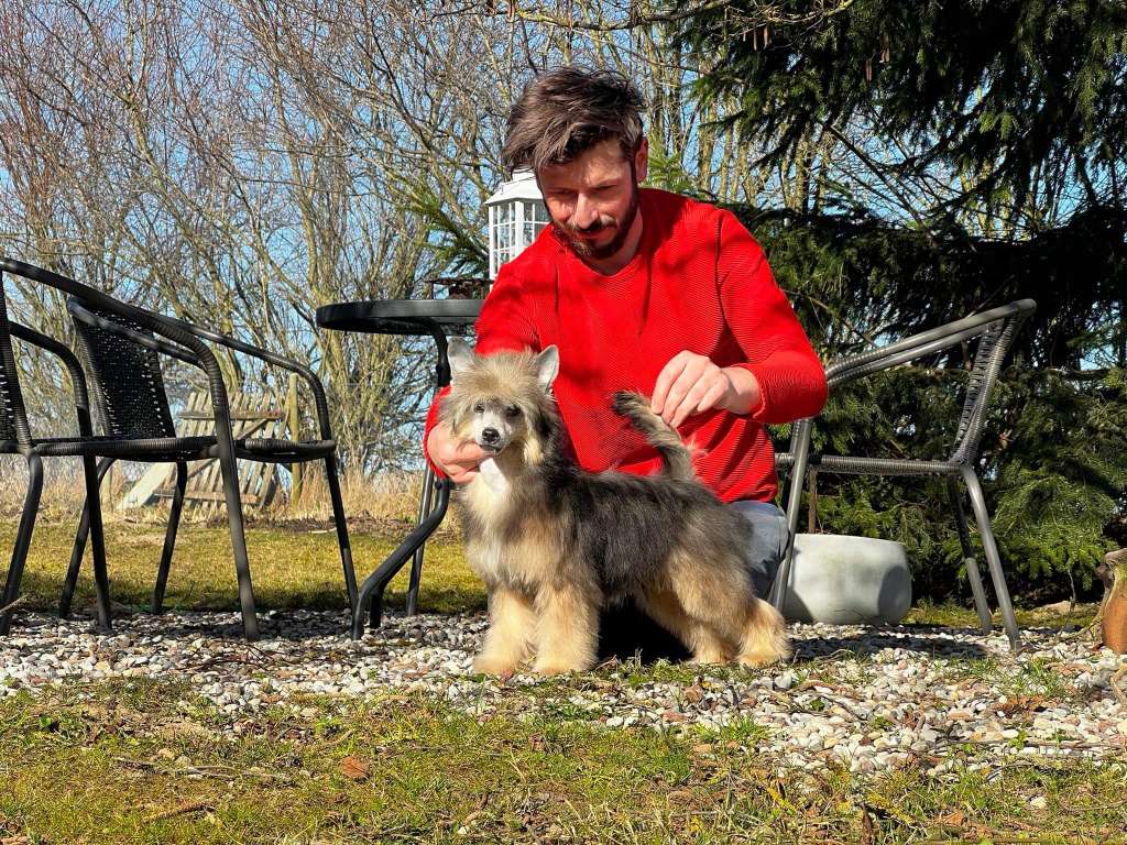 Melton Molosos Gratzi