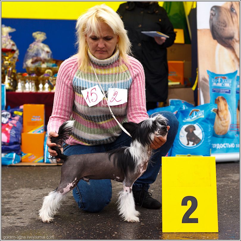 Ognenny Lotos Glavnyi Priz