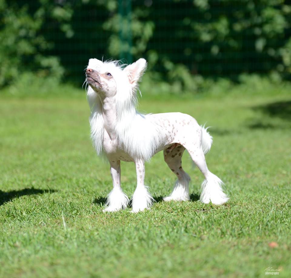 Jamming's Bob Marley