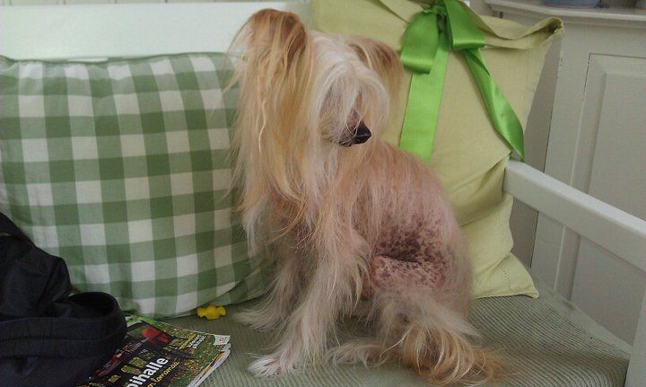 Passer-by A-birthday-boy