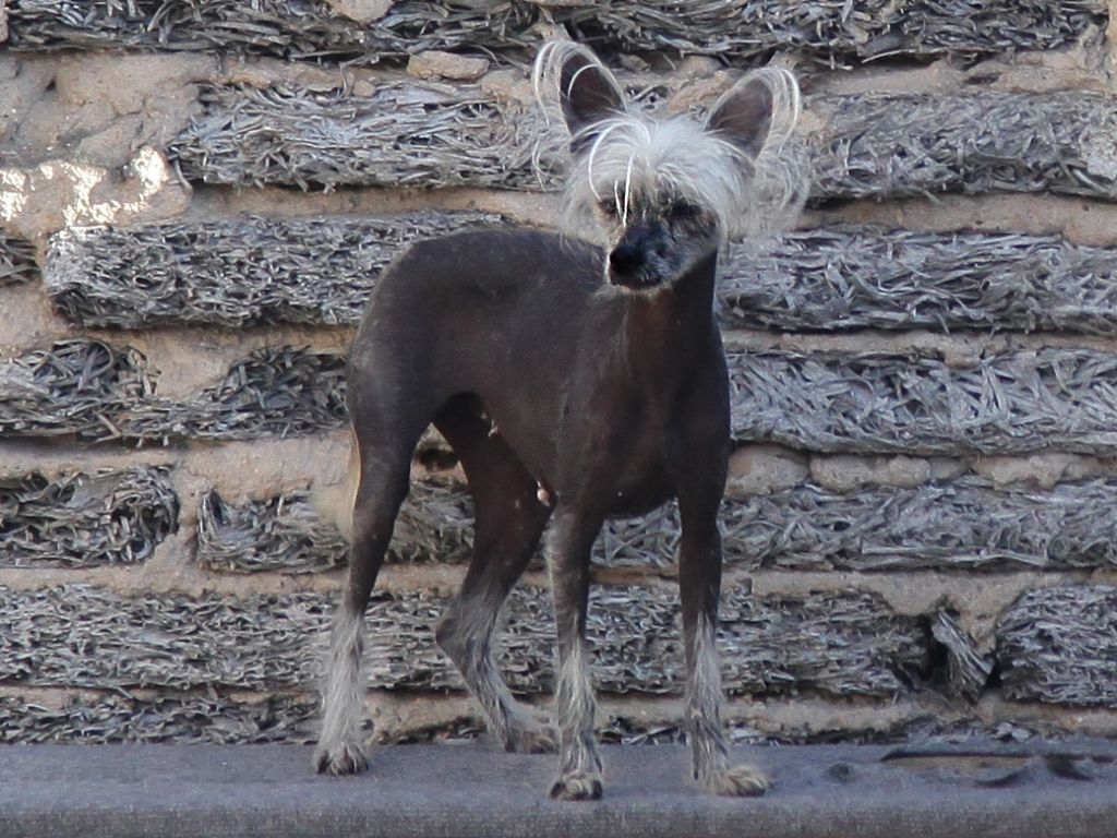 Anastasia Knyazheskaya Doch