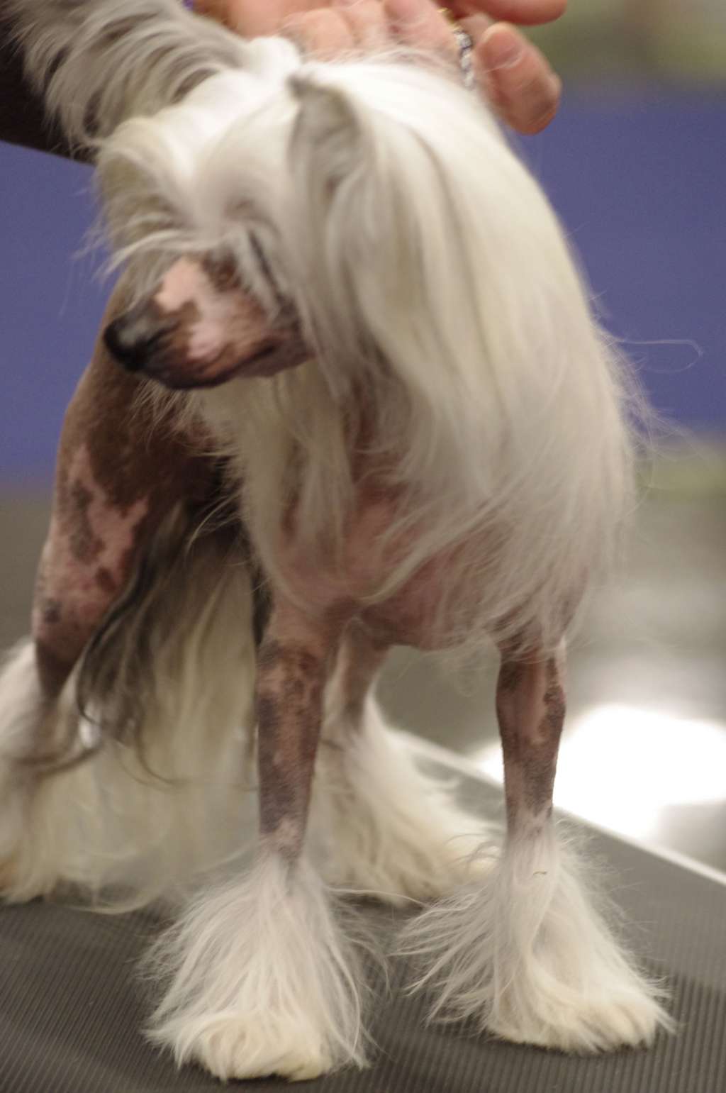 Prefix Upstairs Maid