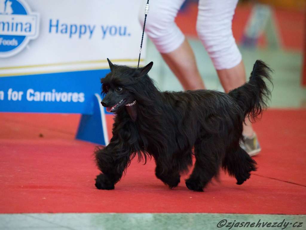 Magic of Success Talisman of Luck