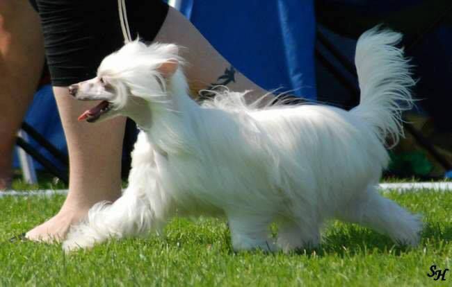 Ridgecrest's Real Success