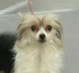 Castlecoves Deep Thought