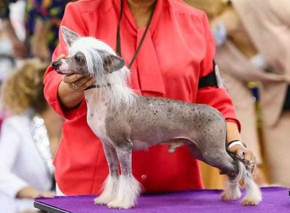 Mashama Mazi Rus Shauri Mshindi