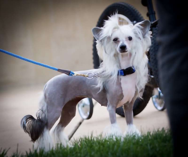 OhSo Dare To Believe